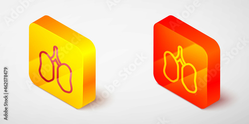 Isometric line Lungs icon isolated on grey background. Yellow and orange square button. Vector