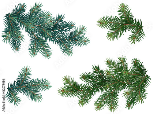 Canvas Print Realistic vector Christmas isolated tree branches