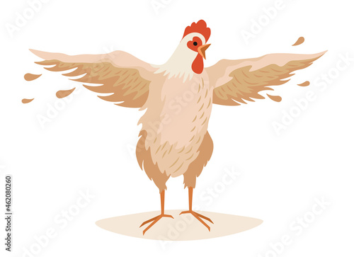 Farm Rooster Flap Wings with Feathers Flying around. Poultry Farm Male Bird, Cock or Cockerel Domestic Farmyard Fowl