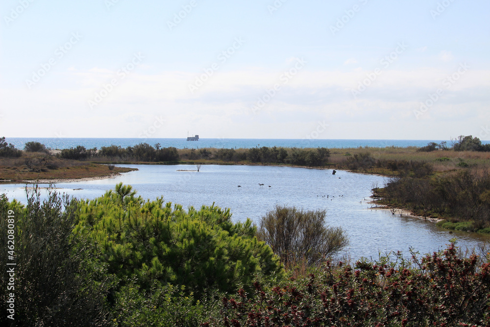 Mouth of the river Guadalhorce, a natural site located in Málaga (Andalusia, Spain)