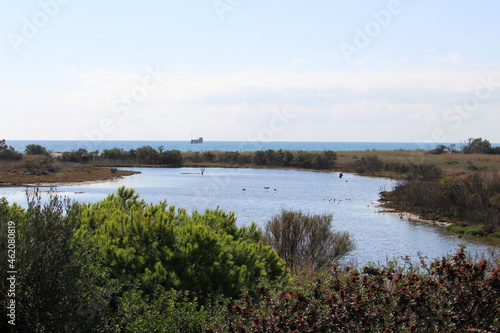 Mouth of the river Guadalhorce, a natural site located in Málaga (Andalusia, Spain)