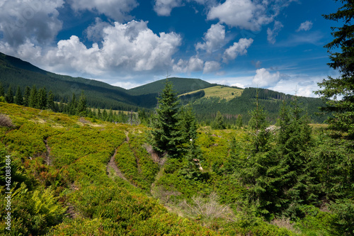 Majestic view on beautiful fog mountains in mist landscape. Dramatic unusual scene. Travel background. Exploring beauty world. Carpathian mountains. Ukraine. Europe.