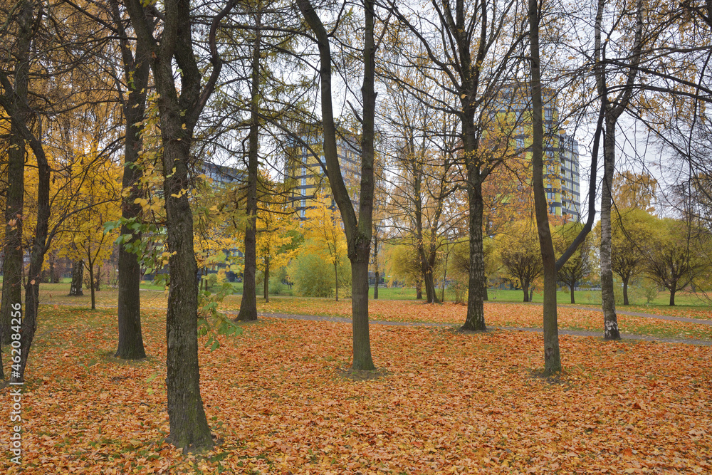 Colorful autumn time.