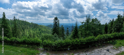 Fototapeta Naklejka Na Ścianę i Meble -  Panorama of polish mountains surrounded with greenery and clouds from PTTK located in Beskid Sądecki in the Radziejowa Range near Prehyba or Przehyba located in Poland, Europe.