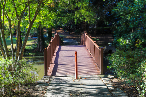 a brown wooden bridge over the silky brown and green lake water surrounded by lush green and autumn colored trees at Lenox Park in Brookhaven Georgia USA photo