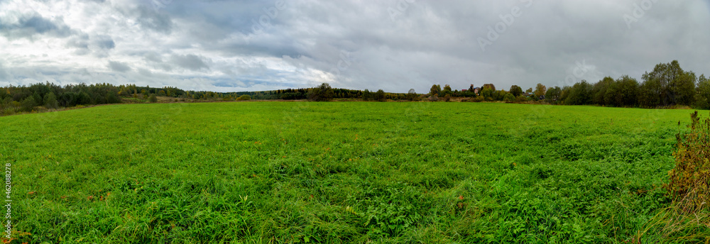 Landscape panorama of the forest and meadow.