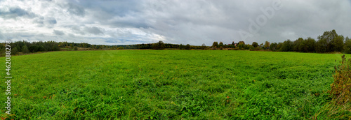 Landscape panorama of the forest and meadow.