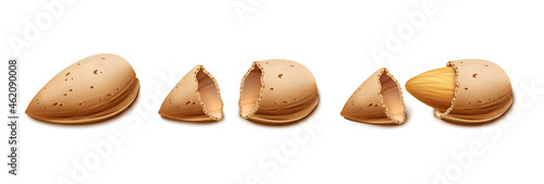 3d realistic vector icon. Almond nut shell. Isolated on white background.