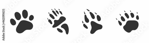 Animals footprints, paw prints. Set of different animals and birds footprints and traces. Cat, lion, tiger, bear, dog, coati.
