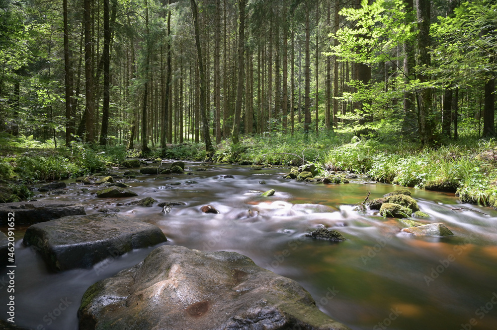 Long Exposure river in Black Forest, Germany Long Exposure river in Black Forest, Germany