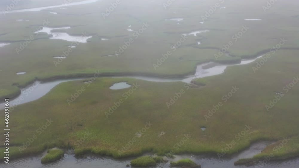 Fog drifts over an extensive salt marsh in Pleasant Bay, Cape Cod, Massachusetts. This type of wetland habitat is vital feeding grounds for migrating birds, fish, and many marine invertebrates. Fog drifts over an extensive salt marsh in Pleasant Bay, Cape Cod, Massachusetts. This type of wetland habitat is vital feeding grounds for migrating birds, fish, and many marine invertebrates.