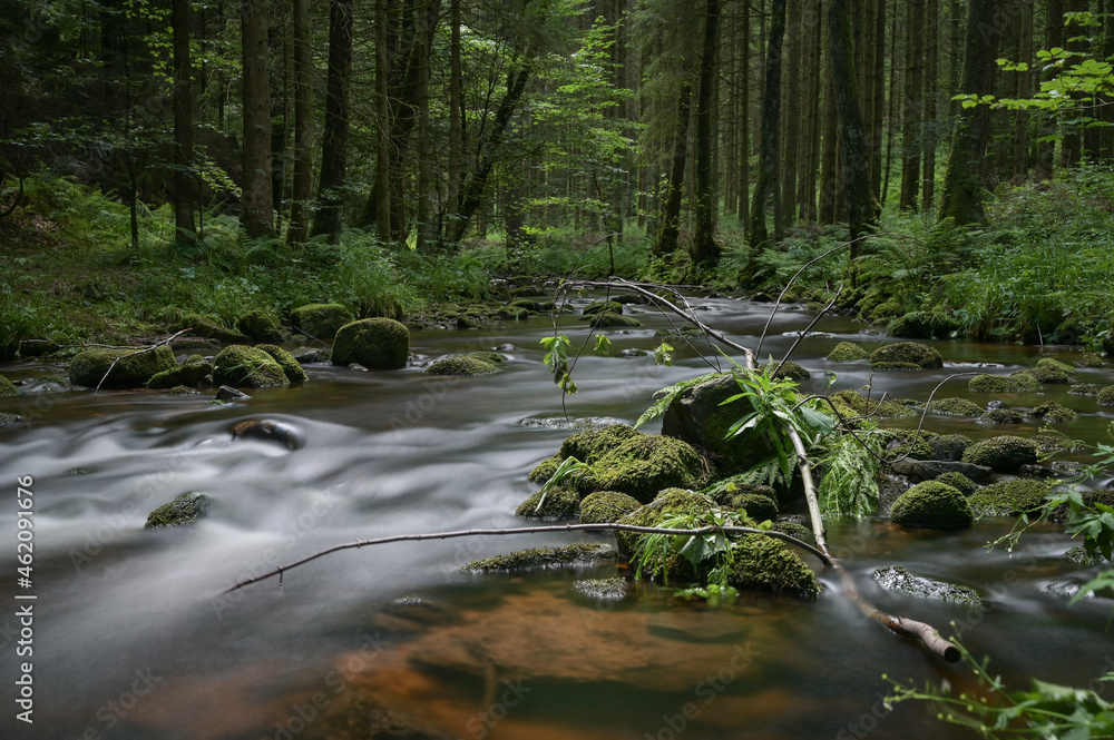 Long Exposure river in Black Forest, Germany Long Exposure river in Black Forest, Germany