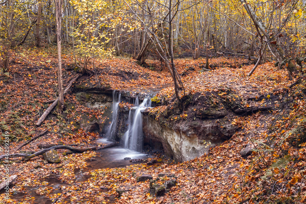 Daudas waterfall in the forest full of fallen autumn lraves, Latvia - obrazy, fototapety, plakaty 