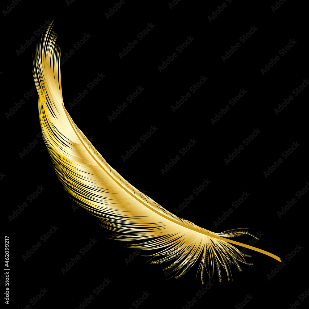 Gold feather isolated on black.Vector illustration.