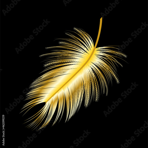 Gold feather isolated on black.Vector illustration.