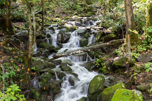 Stream Waterfall on Great Smoky Mountains with Moss