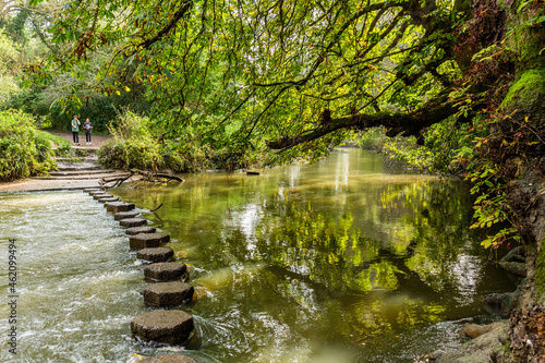 Stepping stones on river Mole in Box Hill Surrey. The Stepping stone is an iconic point on the Box hill walks.  photo