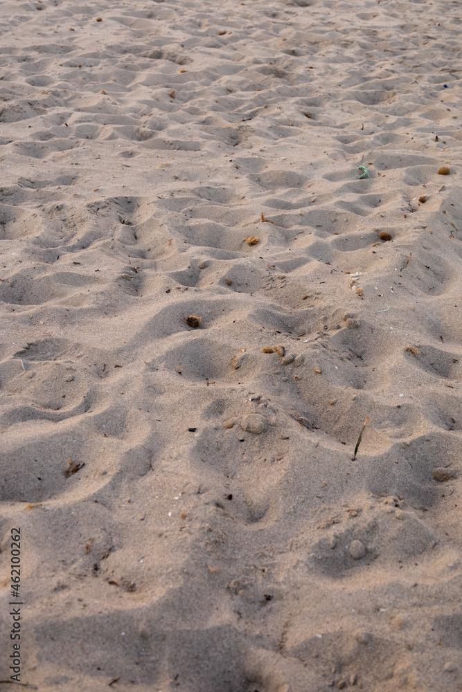 sand from the beach creating small dunes and soiled by marine debris sand from the beach creating small dunes and soiled by marine debris