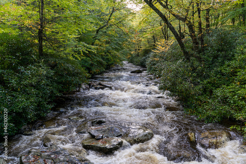 Vászonkép Mountain River Centered and Flowing in Appalachia