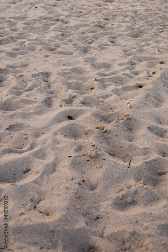 sand from the beach creating small dunes and soiled by marine debris