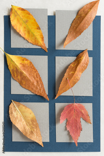 set of autumn leaves on paper squares