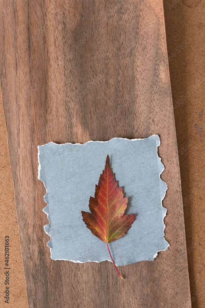 autumn leaf and paper on a wooden background
