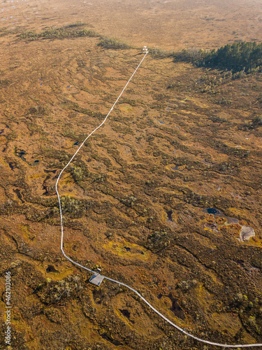 Aerial view of Vasenieku marsh with ponds, pines and wooden footbridge, Latvia. photo