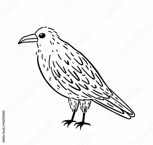 Black raven isolated on white background. Hand-drawn vector illustration in doodle style. Perfect for Halloween designs, cards, logo, decorations.