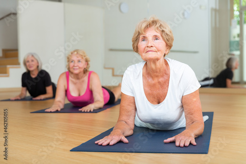 Group of active elderly women doing yoga in the studio perform an exercise in the dog pose face up, strengthening the arms and ..stretching the chest area