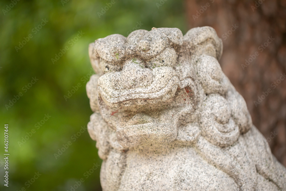 狛犬のいる風景　神社と狛犬　狛犬と木々