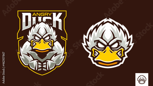 angry duck cartoon illustration