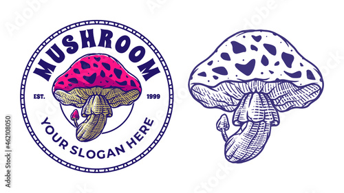 hand drawn mushroom badge illustration