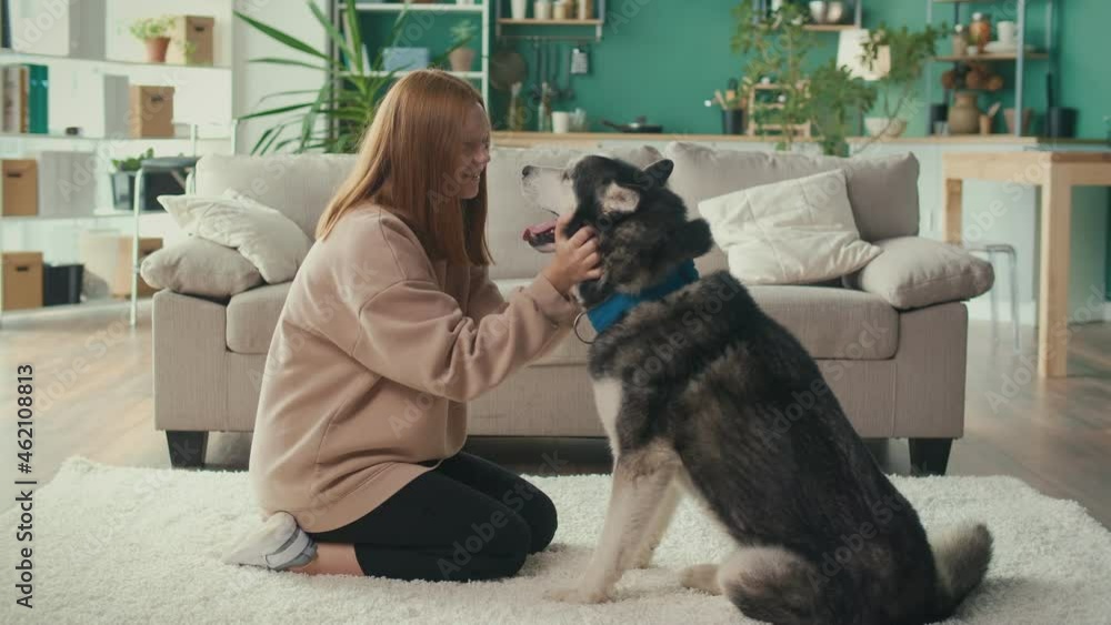 Happy Red Haired Teenage Girl Hugs, Strokes her Dog, Plays, Looks at ...