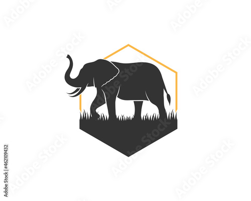 Walking elephant on the grass in the hexagon shape