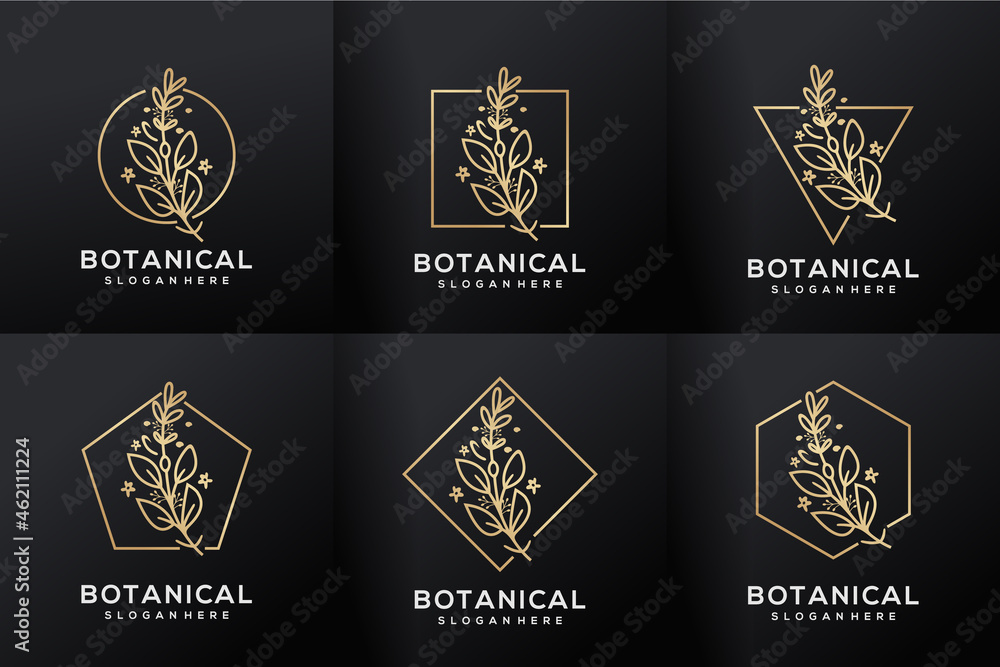 Set of botanical flower luxury frame Set of botanical flower luxury frame
