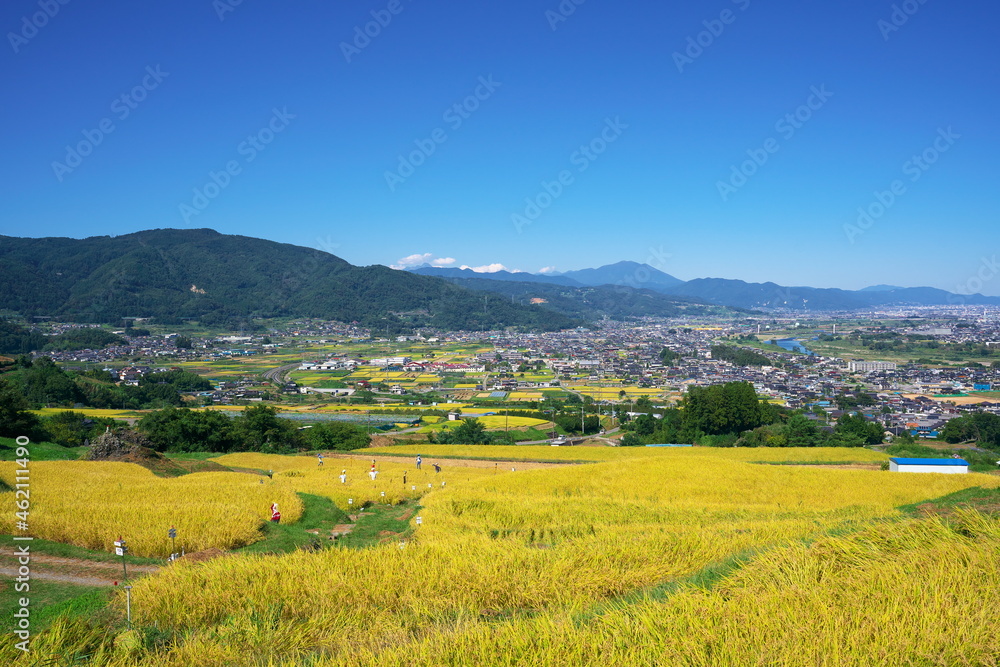 収穫直前の棚田の美しい風景