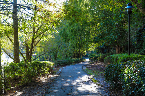 a concrete footpath through the park surrounded by lush green and autumn colored trees at Lenox Park in Brookhaven Georgia USA photo