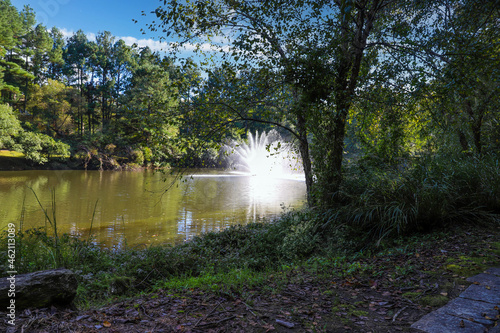 a gorgeous shot of the silky brown water of a like with a water fountain in the middle of the lake surrounded by lush green and autumn colored trees at Lenox Park in Brookhaven Georgia USA photo