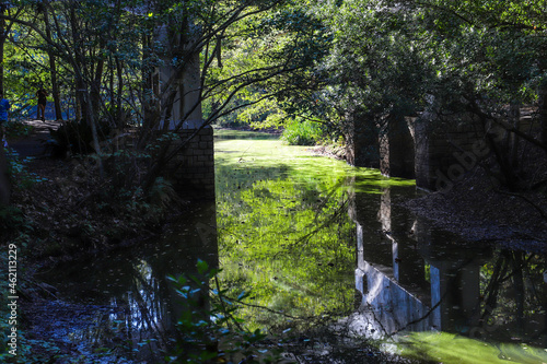 a stunning shot of water under a bridge surrounded by lush green trees reflecting off the water at Lenox Park in Brookhaven Georgia USA photo