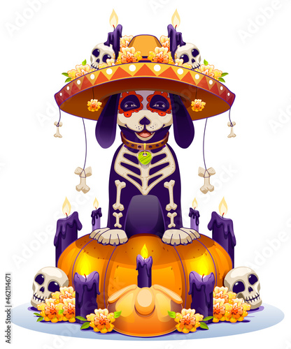 Skeleton dog and pumpkin lantern symbol holiday day of dead in mexico. Dia de Muertos mexican halloween