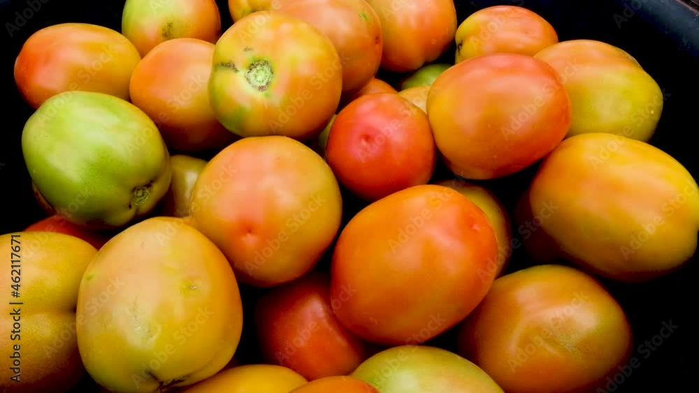 A pile of freshly picked delicious organic red and orange tomatoes picked from the garden and ready for the market, closeup A pile of freshly picked delicious organic red and orange tomatoes picked from the garden and ready for the market, closeup