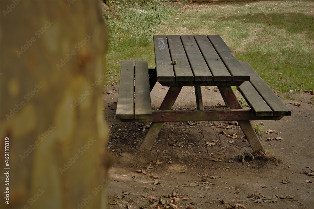 Banco descanso naturaleza verde arboles y césped 
