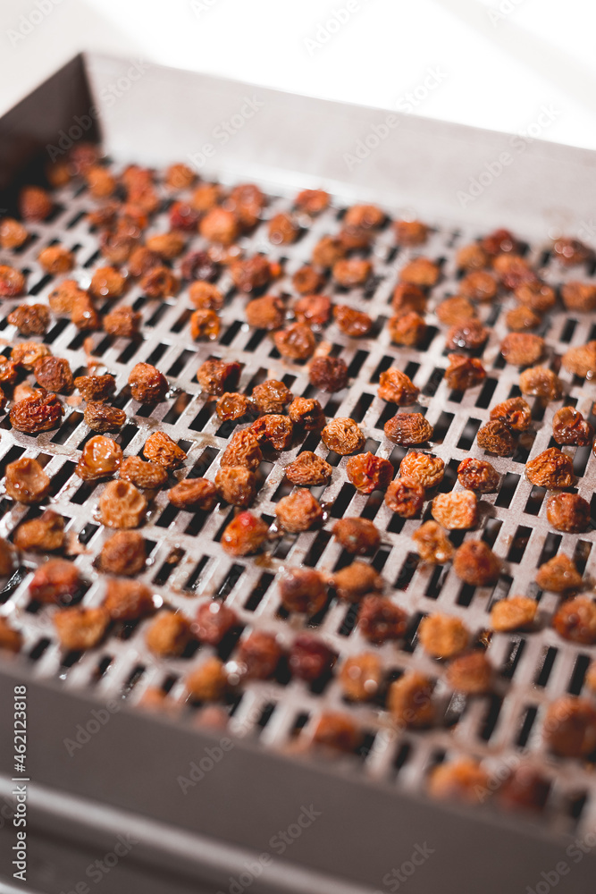 Fototapeta premium The process of cooking dry yellow cherries in an electric automatic dryer at home.