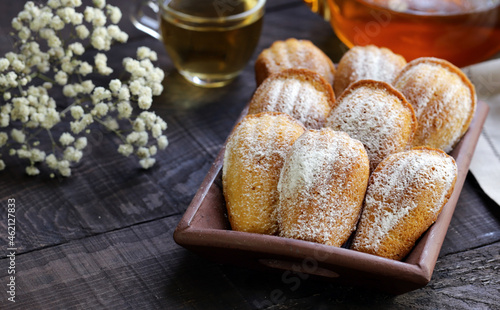 Madeleine cookies with lavender and powdered sugar photo