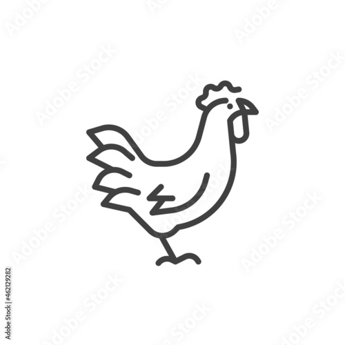 Rooster bird line icon