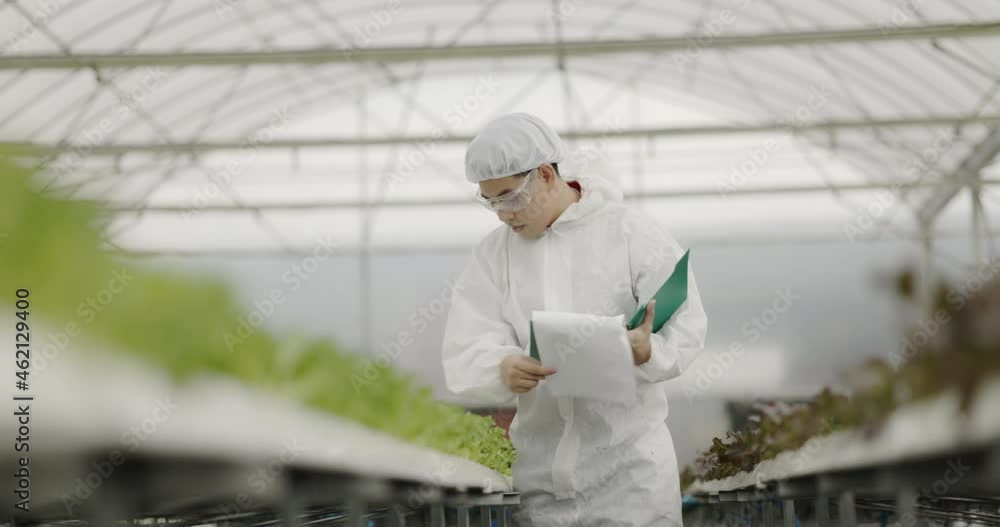 Team Scientist asian wearing uniform are testing quality of hydroponics vegetables to good standard. analyze research for growth vegetables. food science technology. large food industry Team Scientist asian wearing uniform are testing quality of hydroponics vegetables to good standard. analyze research for growth vegetables. food science technology. large food industry
