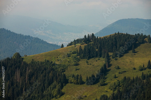 mountain slopes in the Ukrainian Carpathians. mountain tops and forests on a background of blue sky © Oleh Marchak