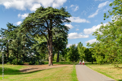 London Royal Botanic Gardens, Kew photo
