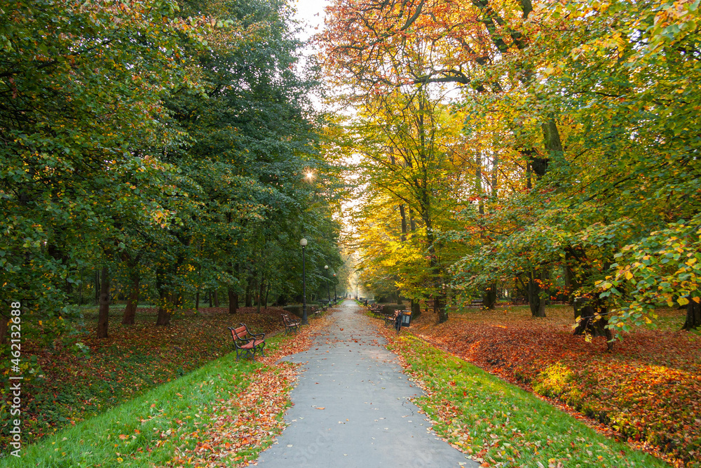 Jesień parku miejskim