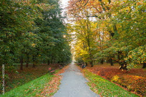 Jesień parku miejskim 